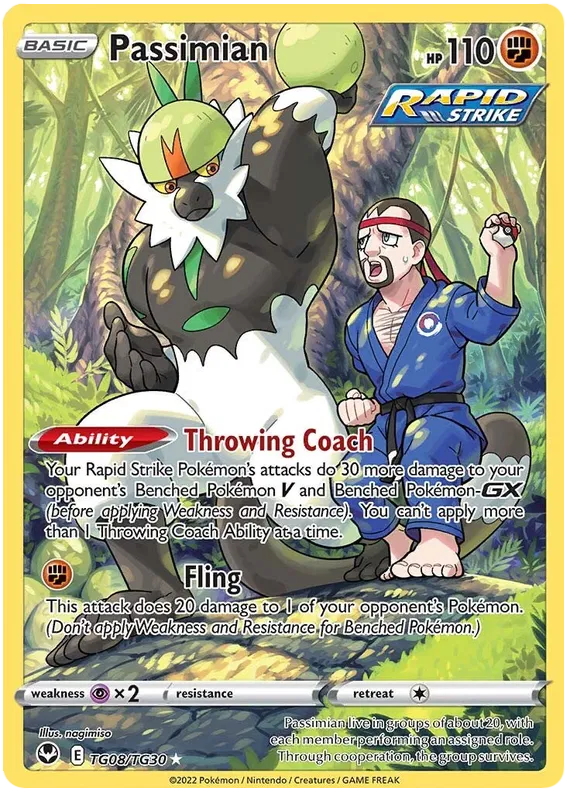 Passimian TG08/TG30 Silver Tempest Trainer Gallery