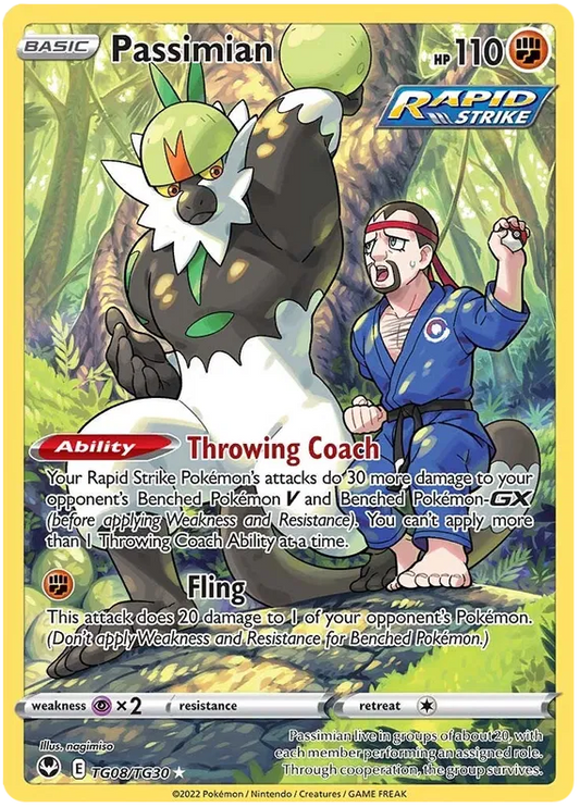 Passimian TG08/TG30 Silver Tempest Trainer Gallery