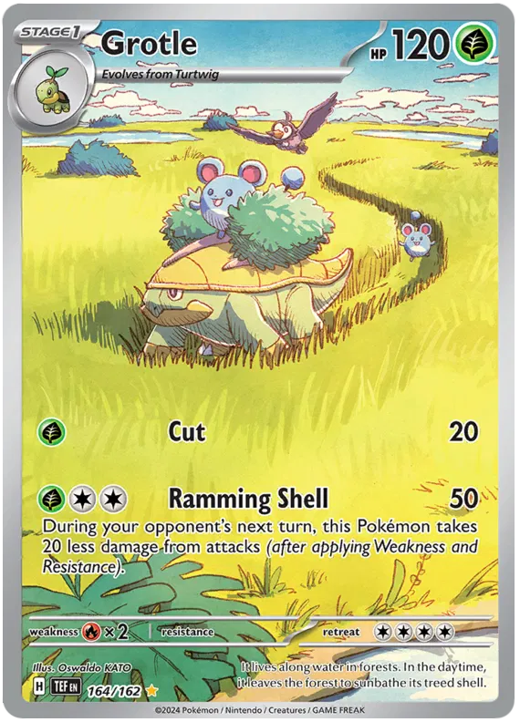 Grotle 164/162 Temporal Forces
