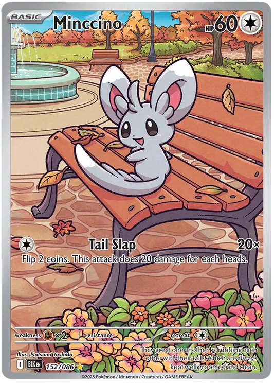 Minccino 152/086 Black Bolt