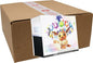 Prismatic Evolutions - ETB - Elite Trainer Box Case